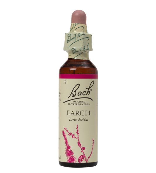 LARCH 20ML ORIGINAL BACH FLOWER REMEDY