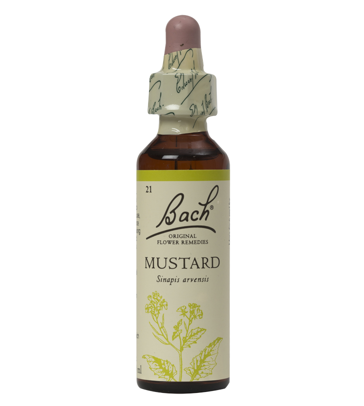 MUSTARD 20ML ORIGINAL BACH FLOWER REMEDY