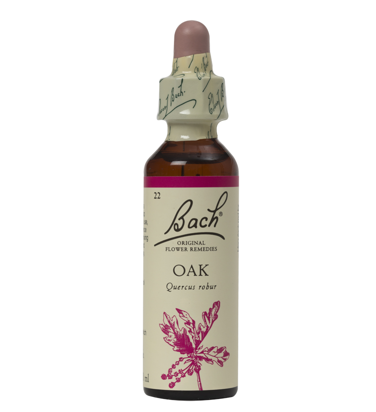 OAK 20ML ORIGINAL BACH FLOWER REMEDY