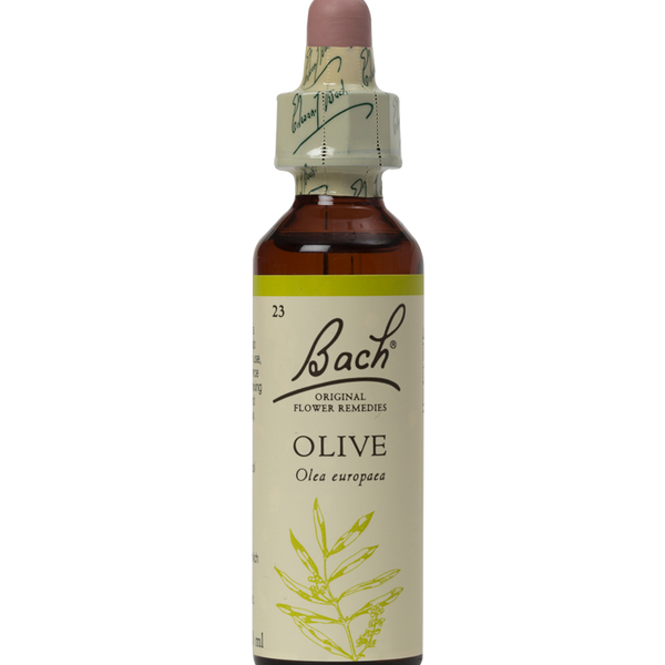 OLIVE 20ML ORIGINAL BACH FLOWER REMEDY