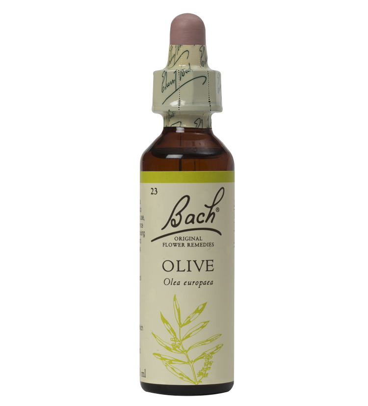 OLIVE 20ML ORIGINAL BACH FLOWER REMEDY