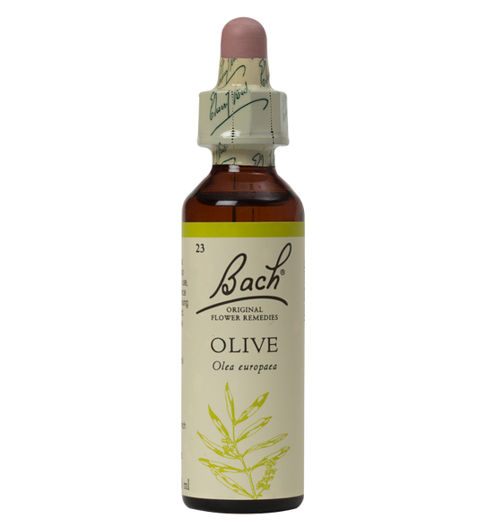OLIVE 20ML ORIGINAL BACH FLOWER REMEDY