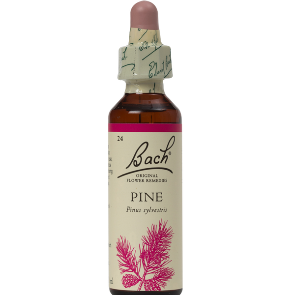 PINE 20ML ORIGINAL BACH FLOWER REMEDY