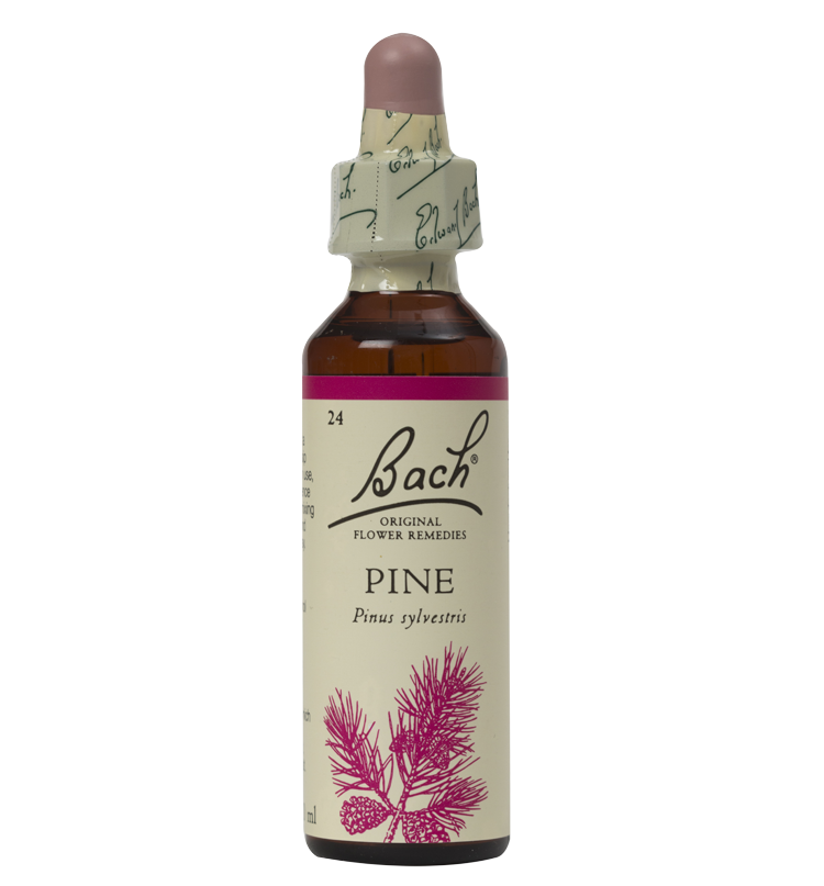 PINE 20ML ORIGINAL BACH FLOWER REMEDY
