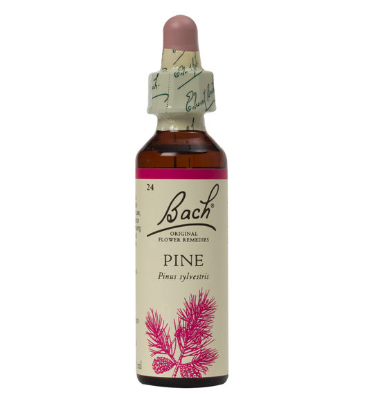 PINE 20ML ORIGINAL BACH FLOWER REMEDY