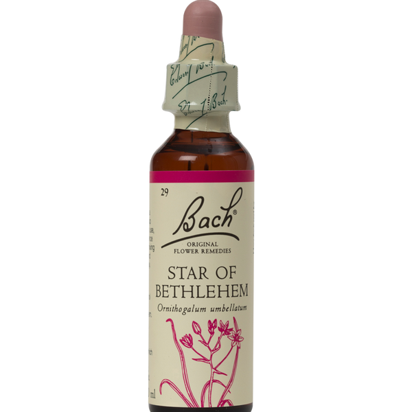 STAR OF BETHLEHEM 20ML ORIGINAL BACH FLOWER REMEDY