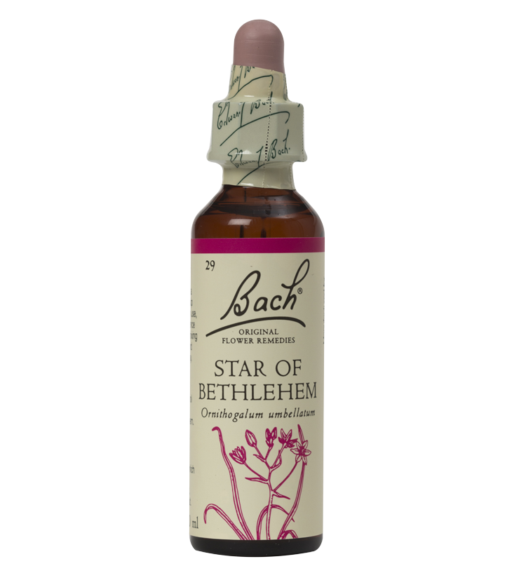 STAR OF BETHLEHEM 20ML ORIGINAL BACH FLOWER REMEDY
