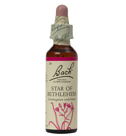 STAR OF BETHLEHEM 20ML ORIGINAL BACH FLOWER REMEDY