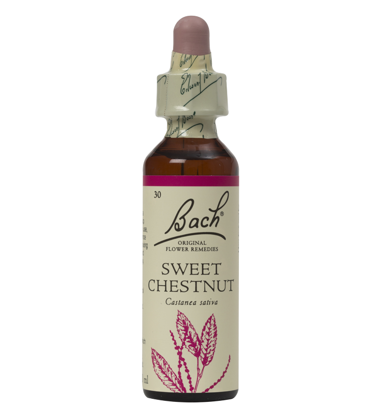 SWEET CHESTNUT 20ML ORIGINAL BACH FLOWER REMEDY