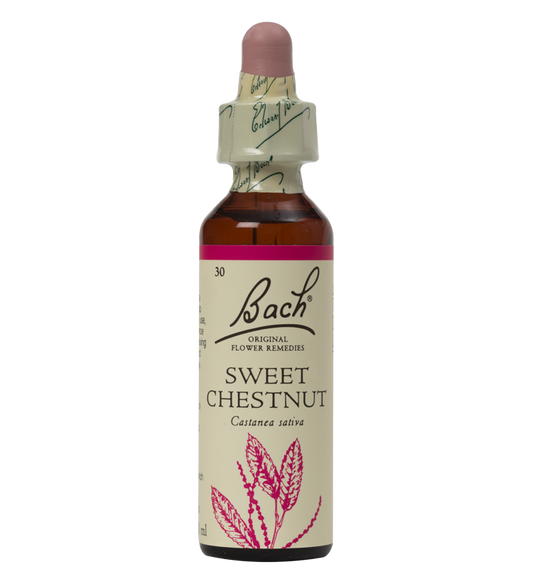SWEET CHESTNUT 20ML ORIGINAL BACH FLOWER REMEDY