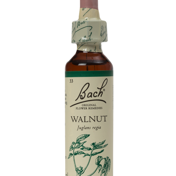 WALNUT 20ML ORIGINAL BACH FLOWER REMEDY