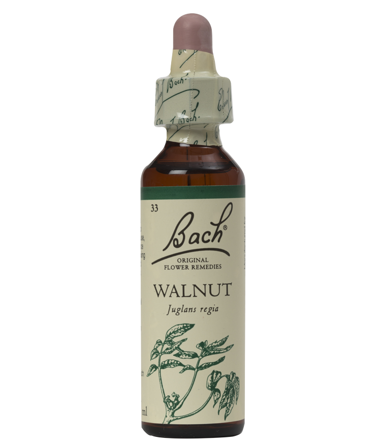 WALNUT 20ML ORIGINAL BACH FLOWER REMEDY