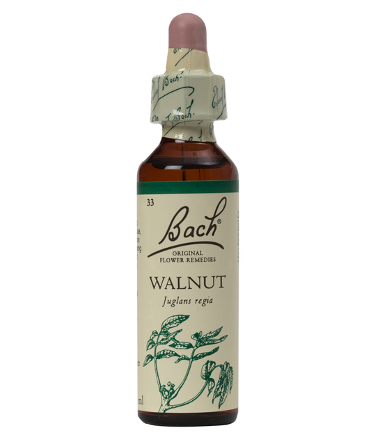 WALNUT 20ML ORIGINAL BACH FLOWER REMEDY