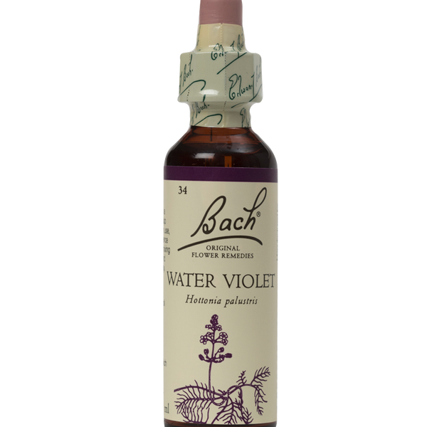 WATER VIOLET 20ML ORIGINAL BACH FLOWER REMEDY