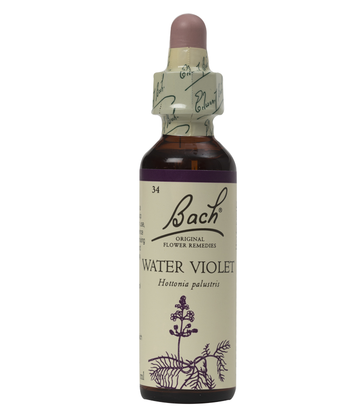 WATER VIOLET 20ML ORIGINAL BACH FLOWER REMEDY