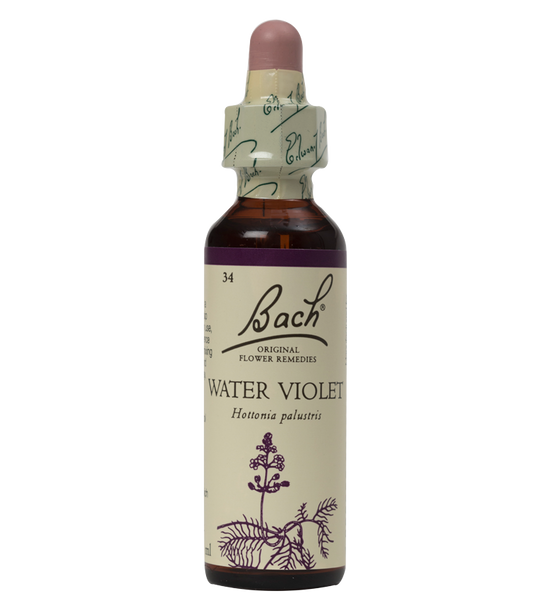 WATER VIOLET 20ML ORIGINAL BACH FLOWER REMEDY