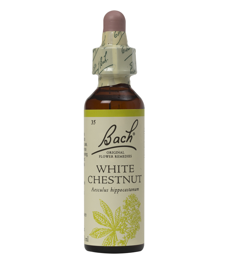 WHITE CHESTNUT 20ML ORIGINAL BACH FLOWER REMEDY