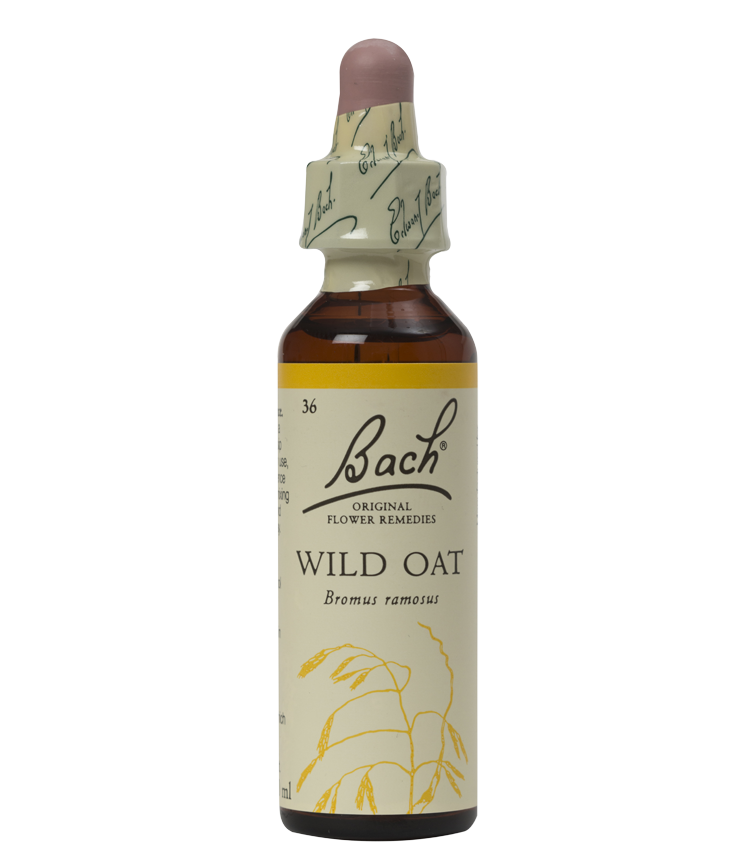 WILD OAT 20ML ORIGINAL BACH FLOWER REMEDY