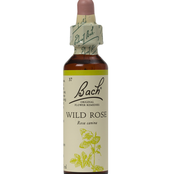 WILD ROSE 20ML ORIGINAL BACH FLOWER REMEDY