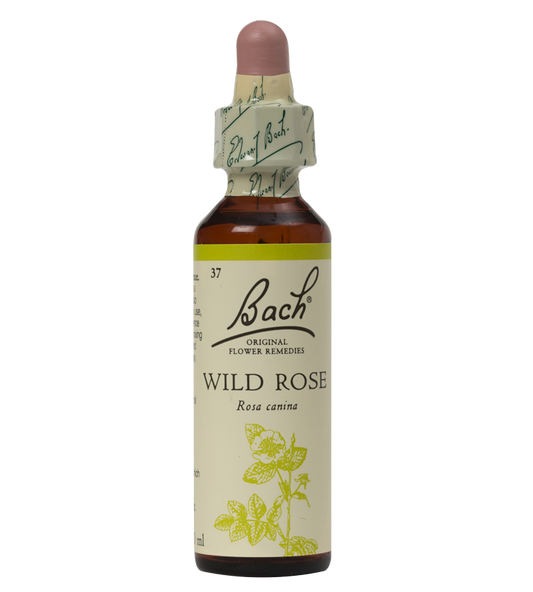WILD ROSE 20ML ORIGINAL BACH FLOWER REMEDY