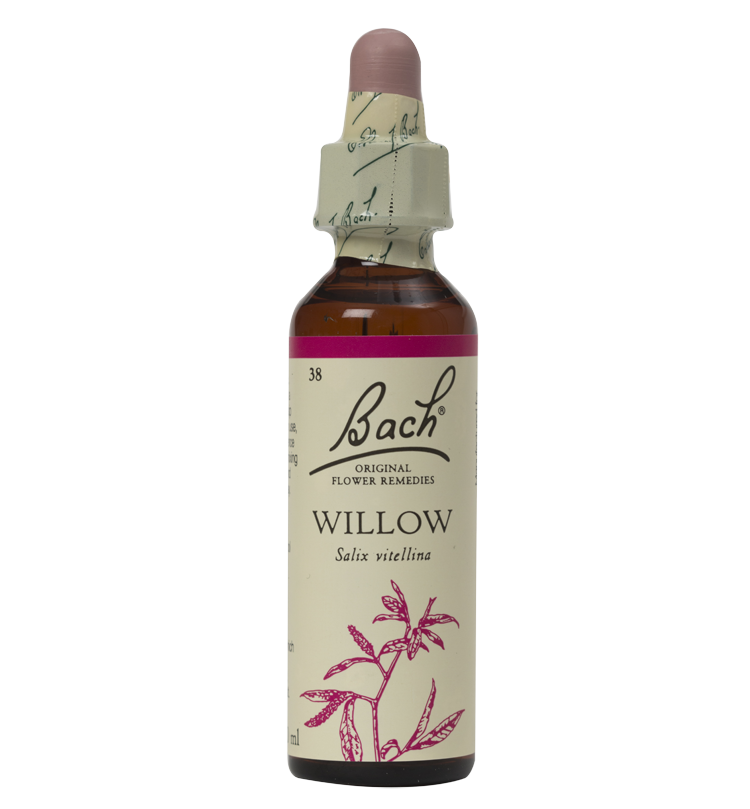 WILLOW 20ML ORIGINAL BACH FLOWER REMEDY