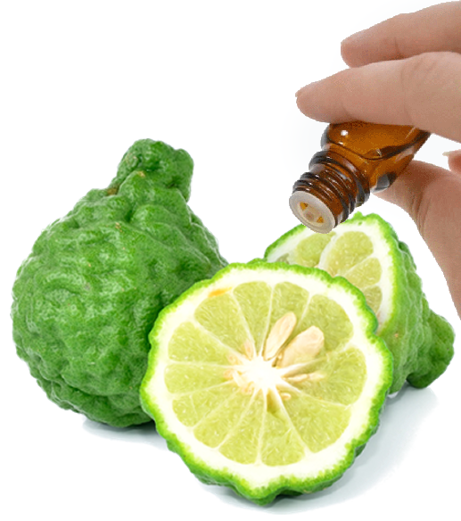 Bergamot essential oil