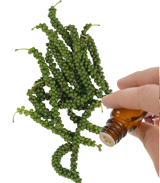 Black Pepper essential oil