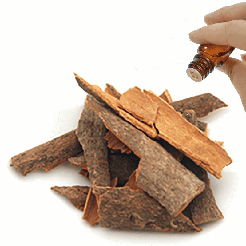 Cassia essential oil