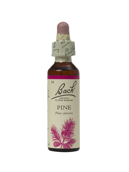 PINE 20ML ORIGINAL BACH FLOWER REMEDY