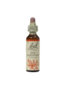 RED CHESTNUT 20ML ORIGINAL BACH FLOWER REMEDY