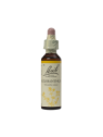 SCLERANTHUS 20ML ORIGINAL BACH FLOWER REMEDY