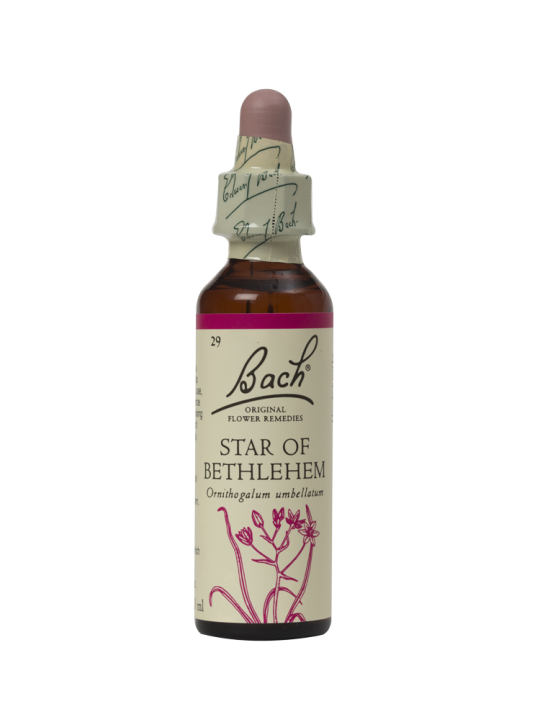 STAR OF BETHLEHEM 20ML ORIGINAL BACH FLOWER REMEDY