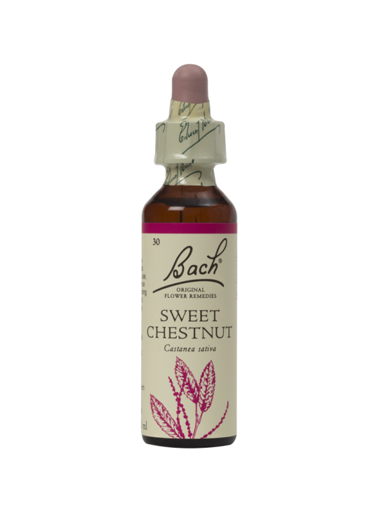 SWEET CHESTNUT 20ML ORIGINAL BACH FLOWER REMEDY