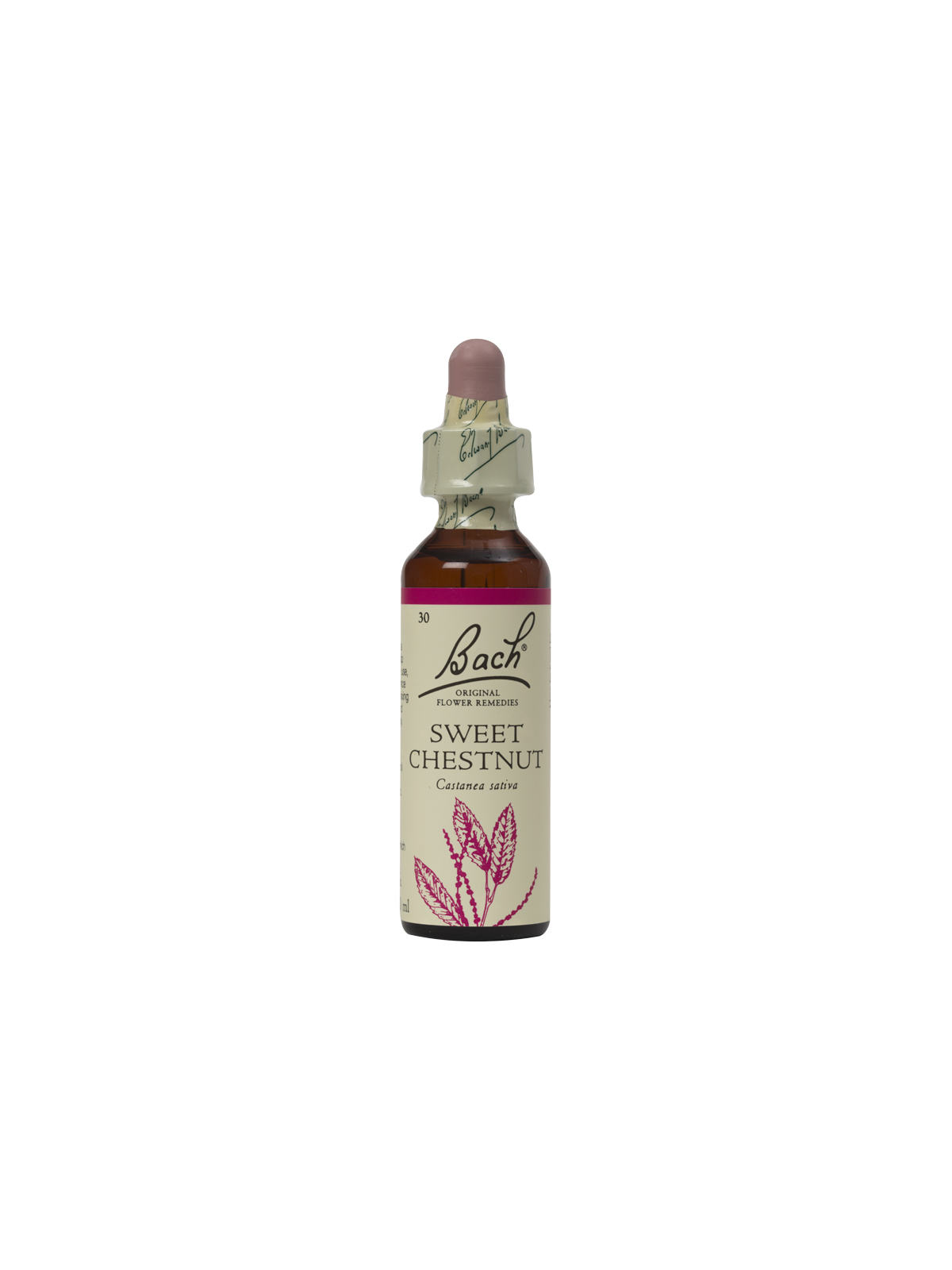 SWEET CHESTNUT 20ML ORIGINAL BACH FLOWER REMEDY