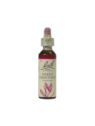 SWEET CHESTNUT 20ML ORIGINAL BACH FLOWER REMEDY