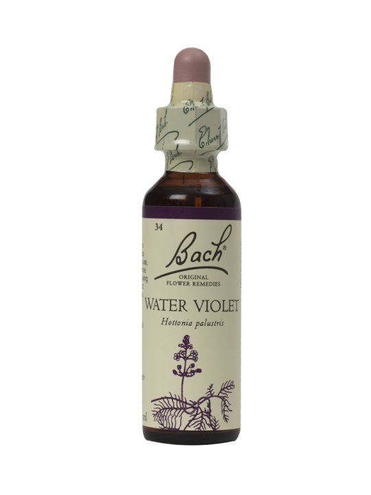 WATER VIOLET 20ML ORIGINAL BACH FLOWER REMEDY