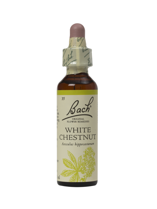 WHITE CHESTNUT 20ML ORIGINAL BACH FLOWER REMEDY