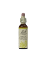 WHITE CHESTNUT 20ML ORIGINAL BACH FLOWER REMEDY