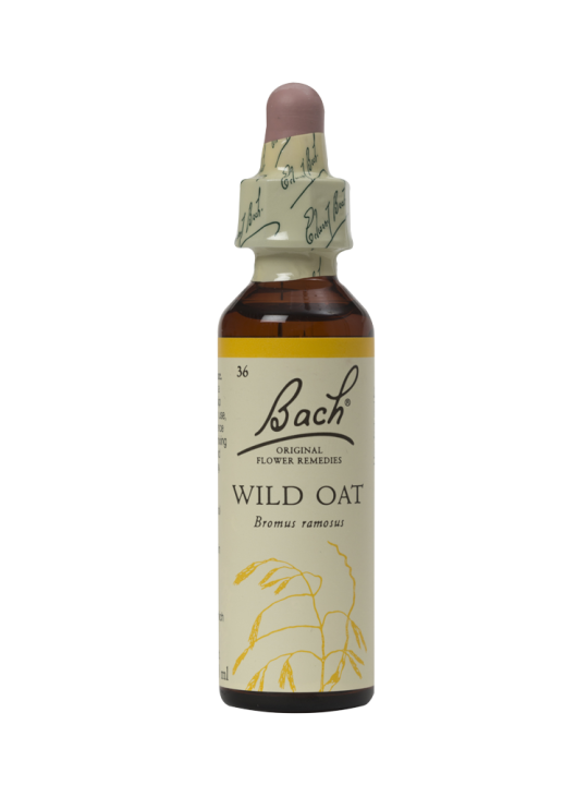 WILD OAT 20ML ORIGINAL BACH FLOWER REMEDY