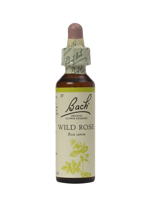 WILD ROSE 20ML ORIGINAL BACH FLOWER REMEDY