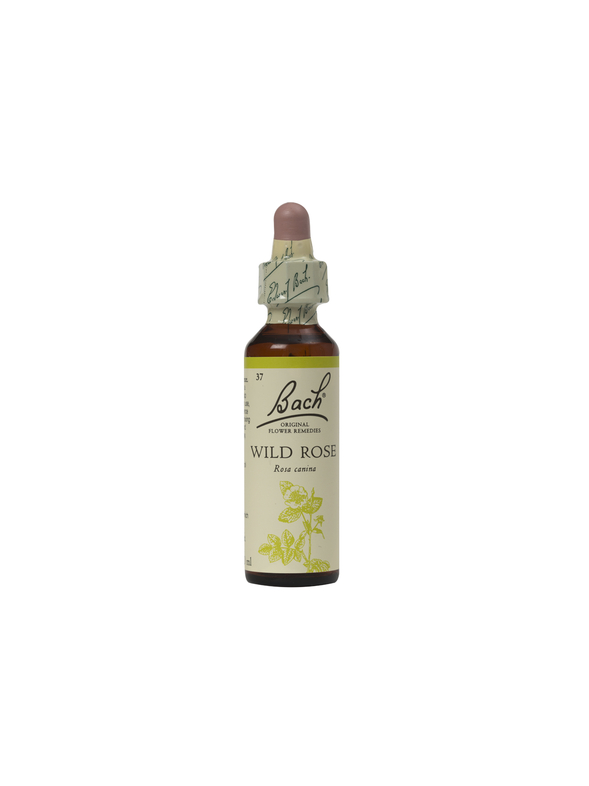 WILD ROSE 20ML ORIGINAL BACH FLOWER REMEDY