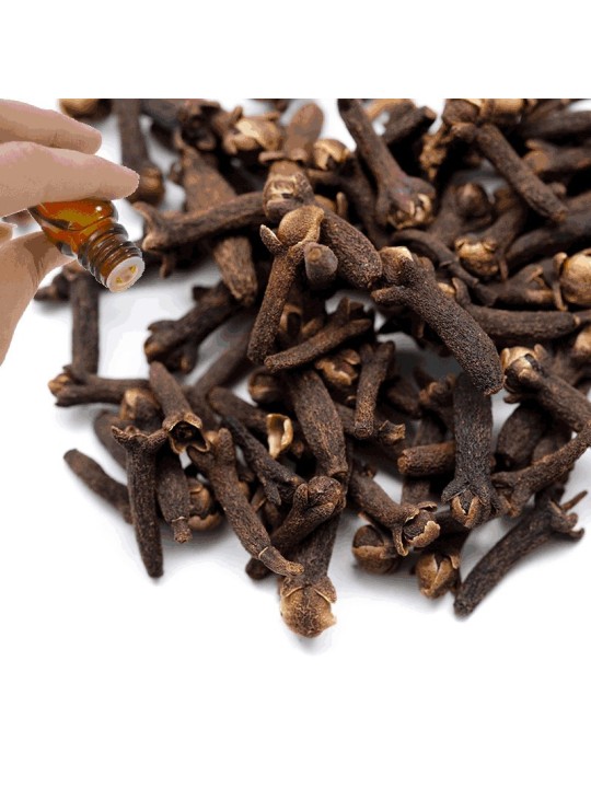 Clove Bud Essential Oil