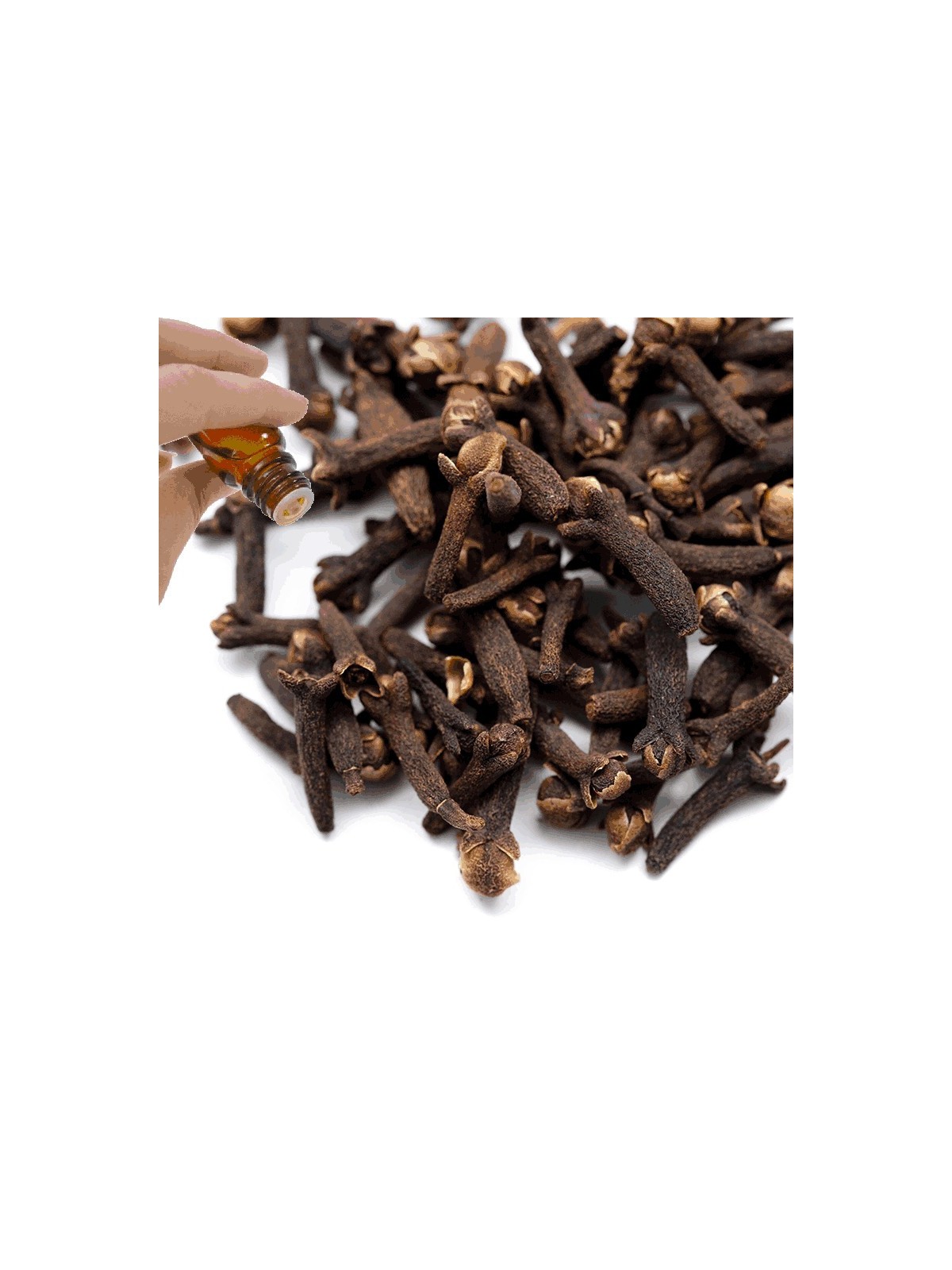 Clove Bud Essential Oil