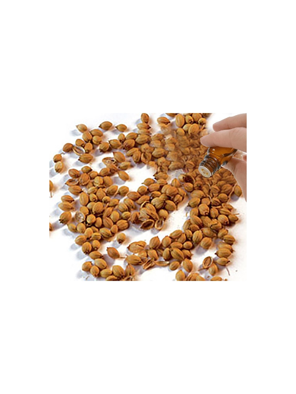 Coriander Seed Essential Oil