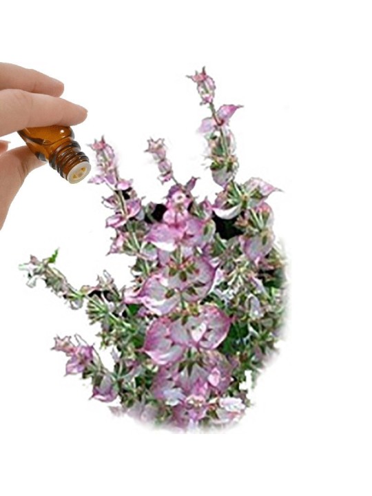 Clary Sage essential oil