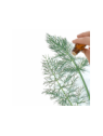 Fennel (Sweet) Essential Oil