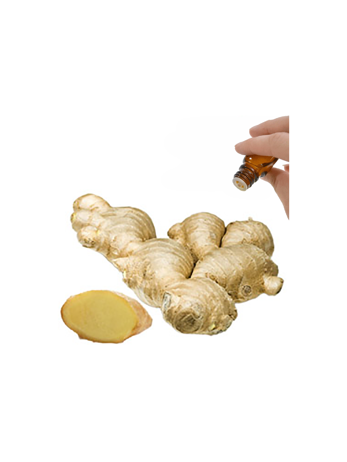 Ginger Root Essential Oil