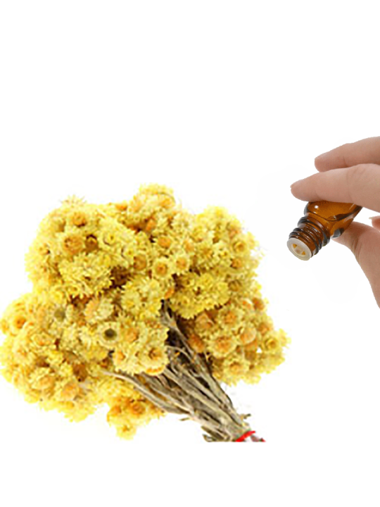 Immortelle Essential Oil