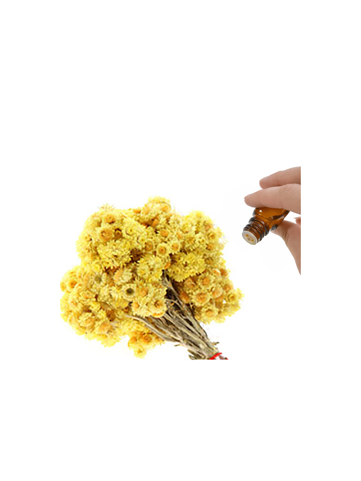 Immortelle Essential Oil