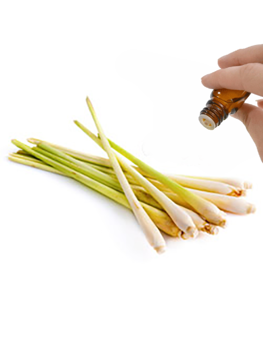 Lemongrass Essential Oil